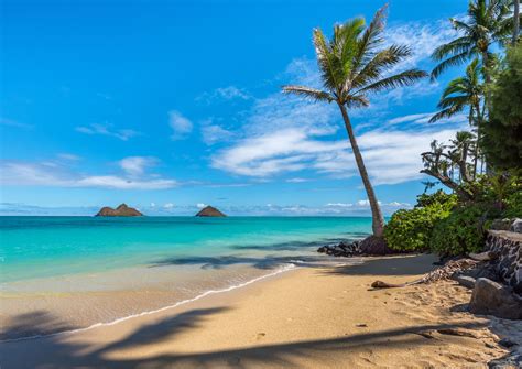 Magic beach hawaii